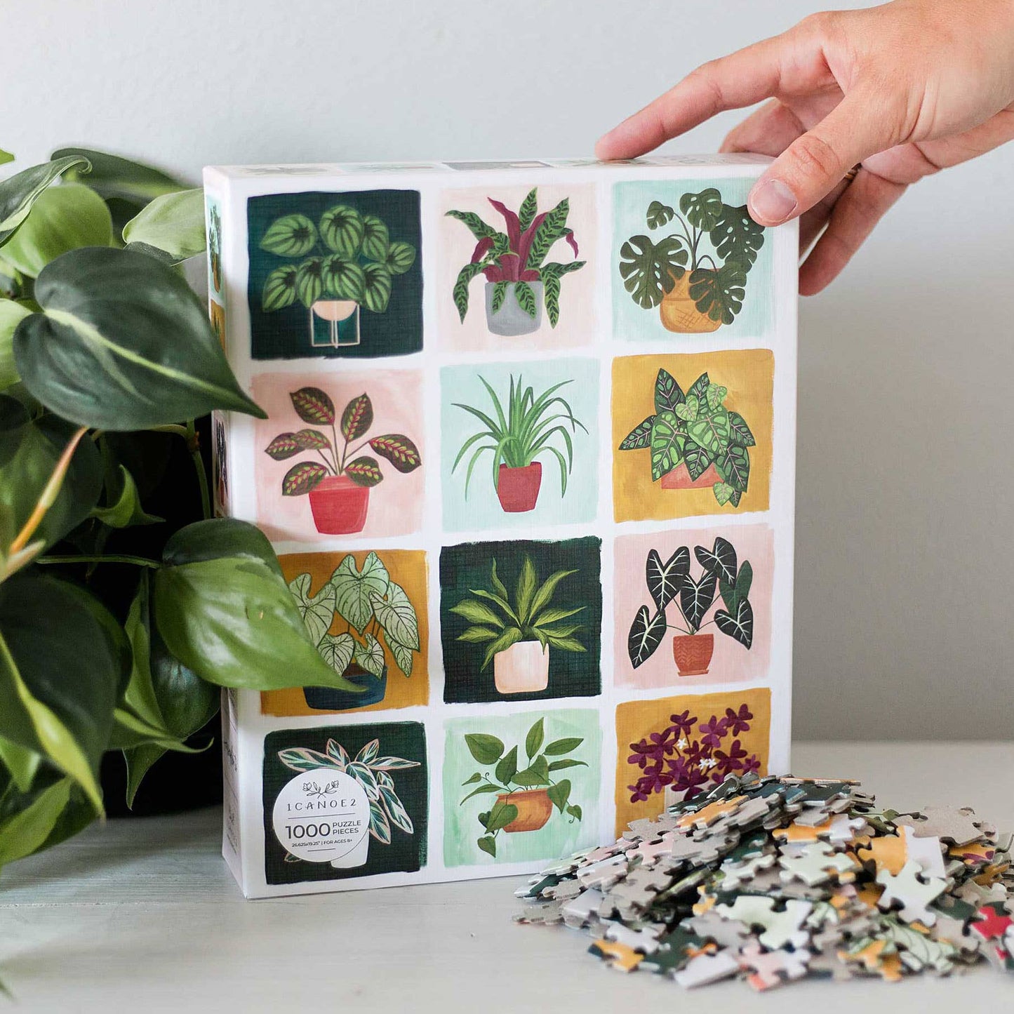 1Canoe2 | Houseplants - 1,000 Piece Jigsaw Puzzle