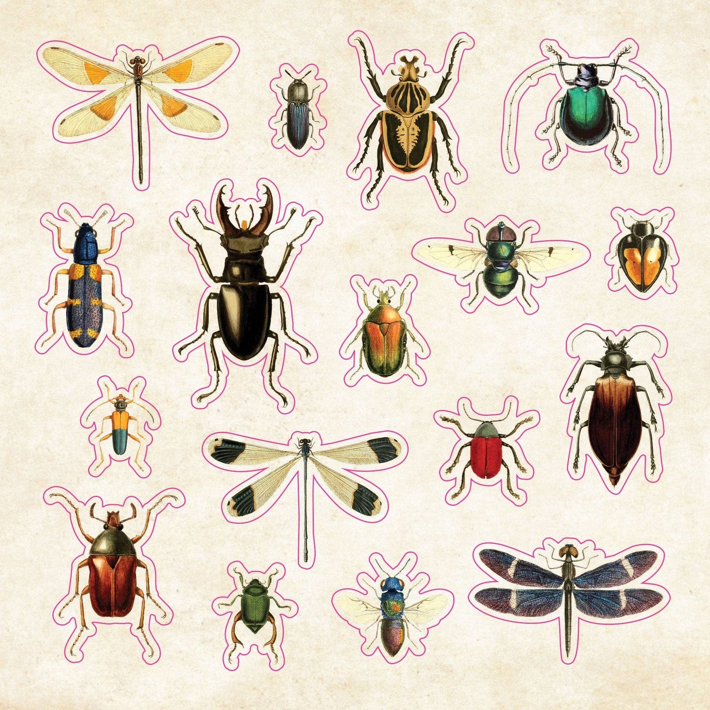 Peter Pauper Press | Curiosities Sticker Book