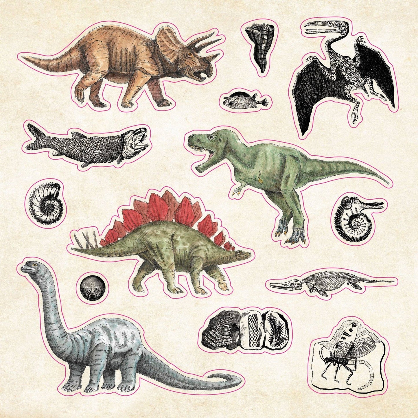 Peter Pauper Press | Curiosities Sticker Book