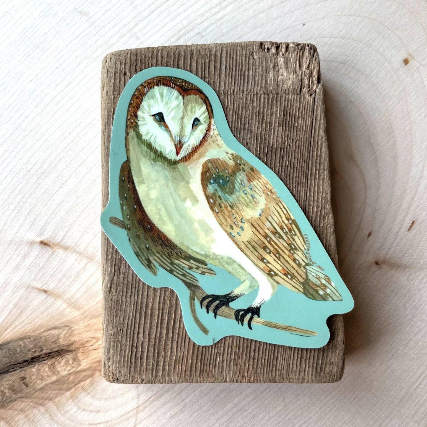 Canyon & Cove Art - Forest Barn Owl Sticker