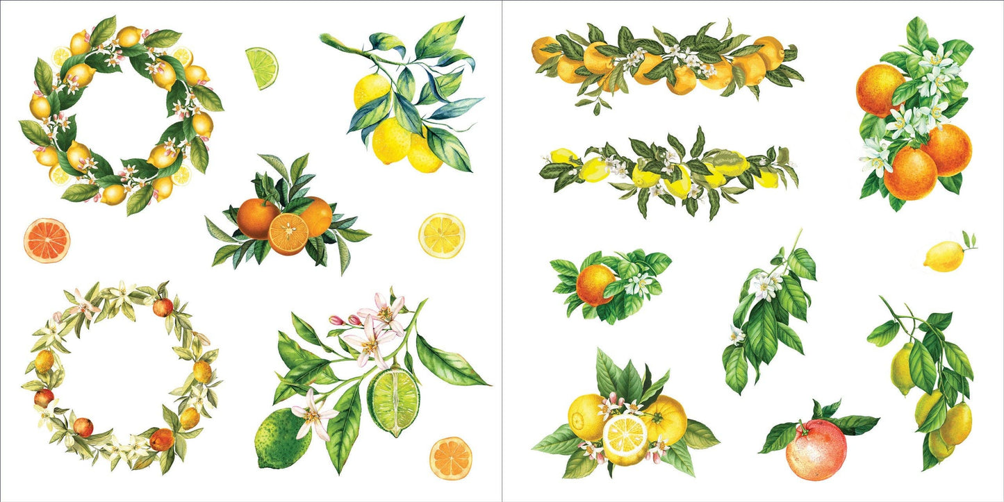 Peter Pauper Press | Bunches of Botanicals Sticker Book (500 stickers)