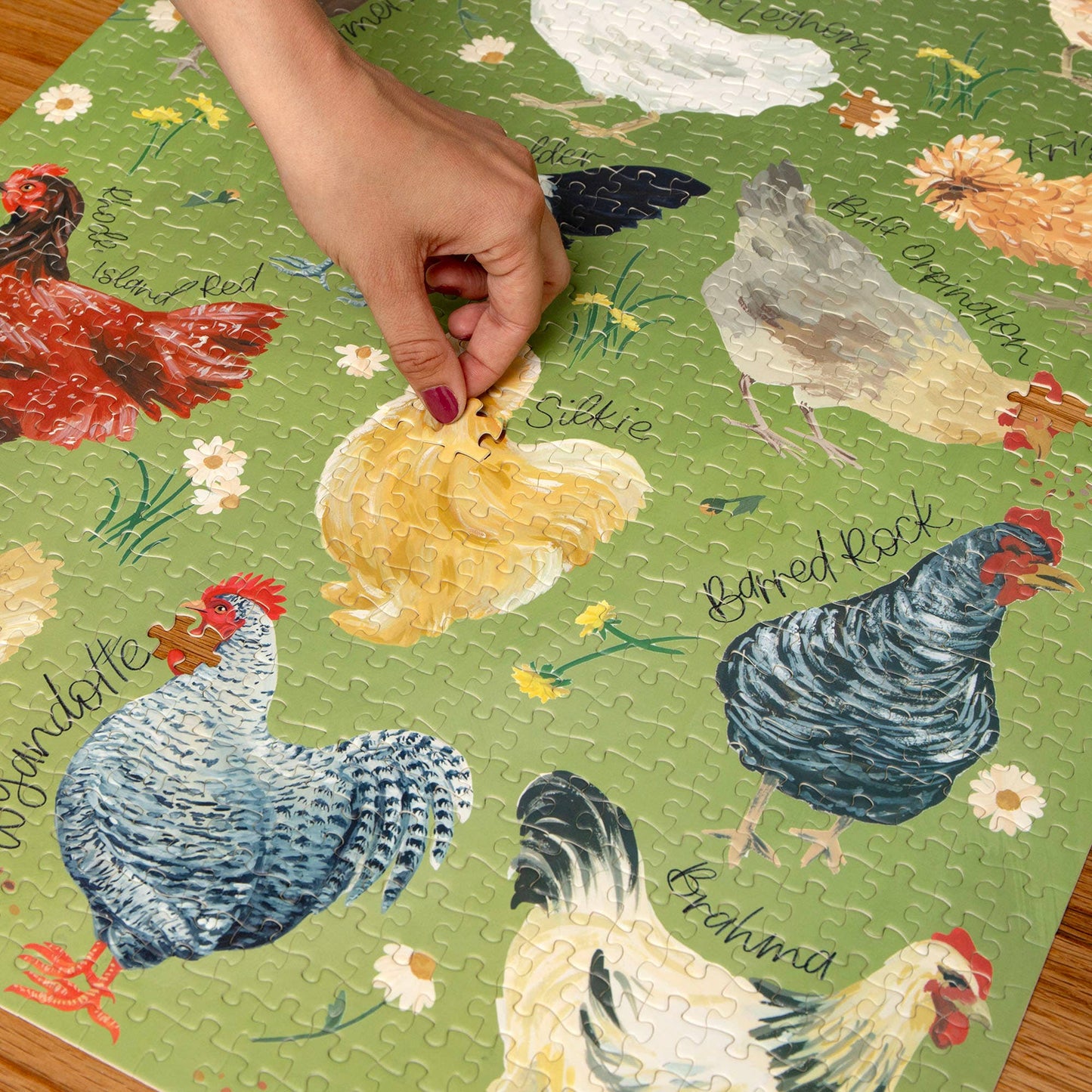 1Canoe2 | Chicken Meadows 1,000 Piece Jigsaw Puzzle