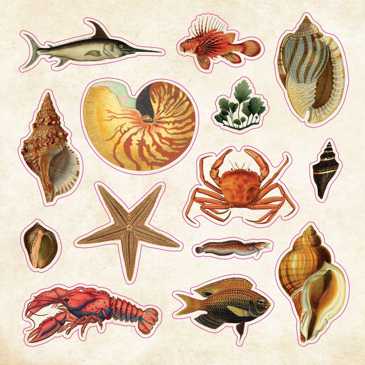 Peter Pauper Press | Curiosities Sticker Book