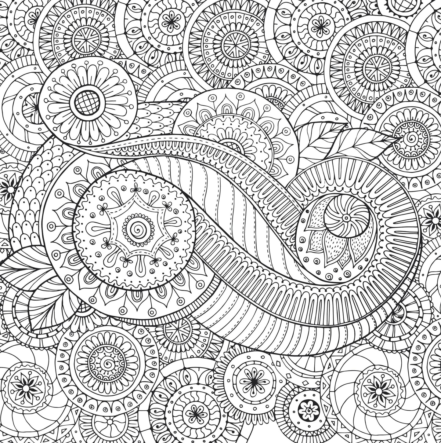 Peter Pauper Press |  Peaceful Paisleys Artist's Coloring Book