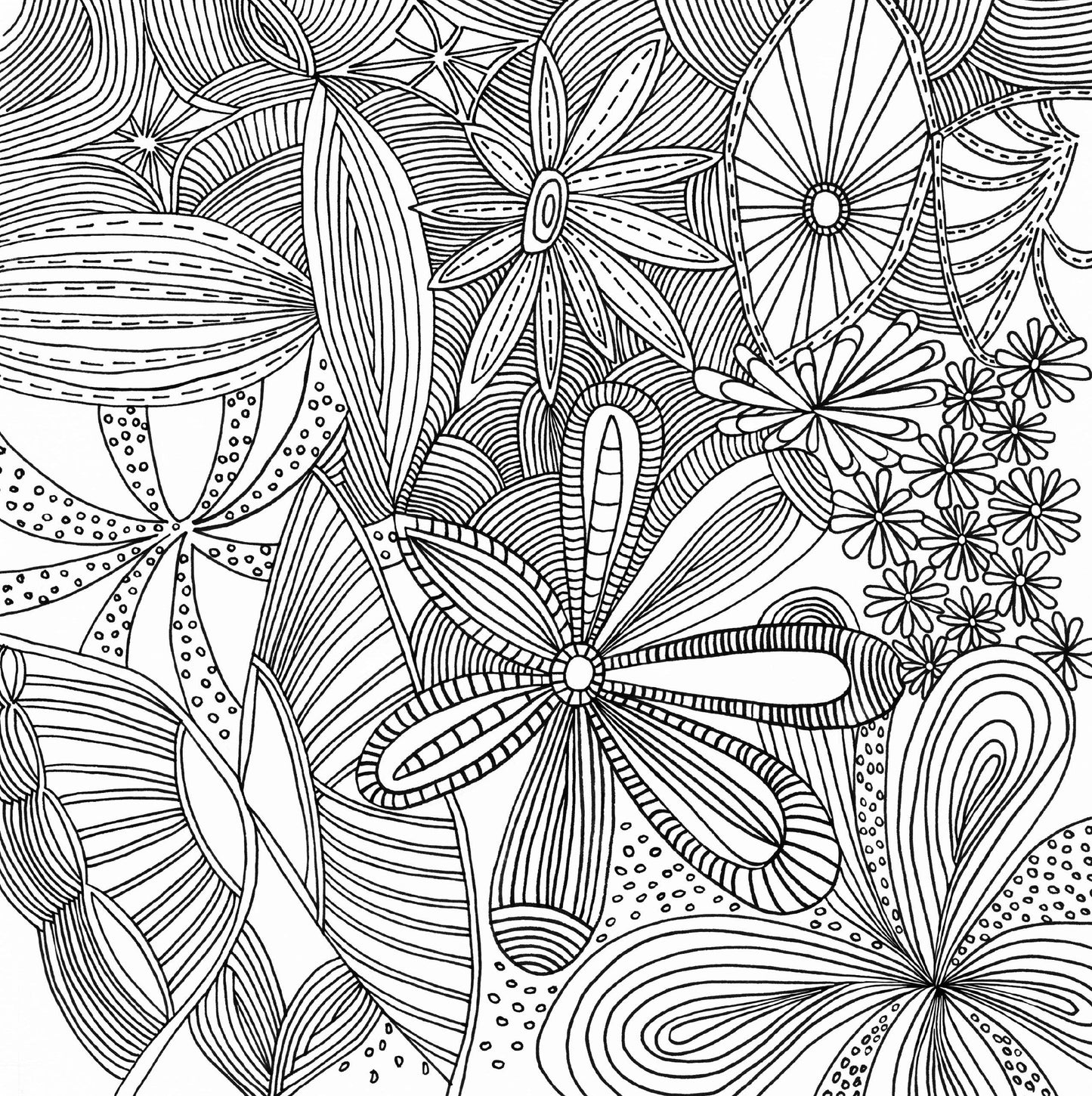 Peter Pauper Press | Serenity Artist's Coloring Book