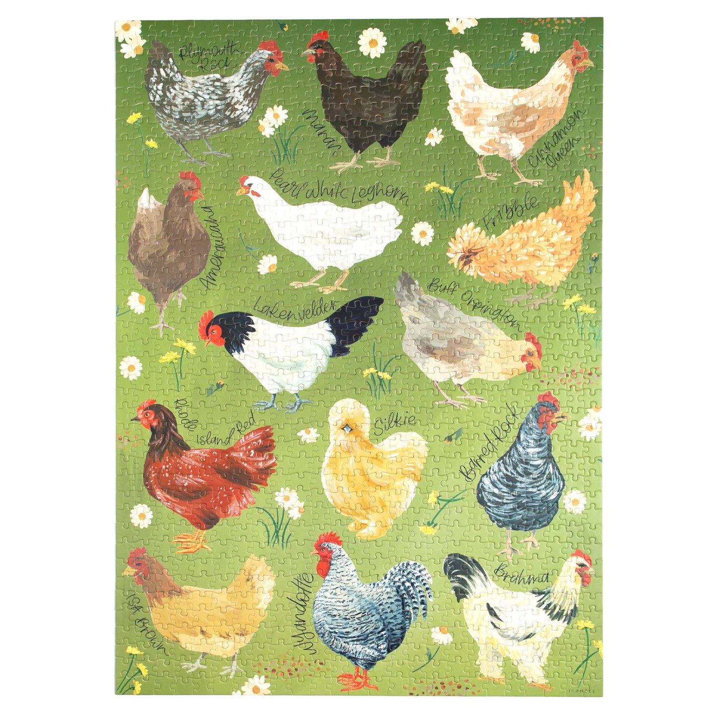 1Canoe2 | Chicken Meadows 1,000 Piece Jigsaw Puzzle