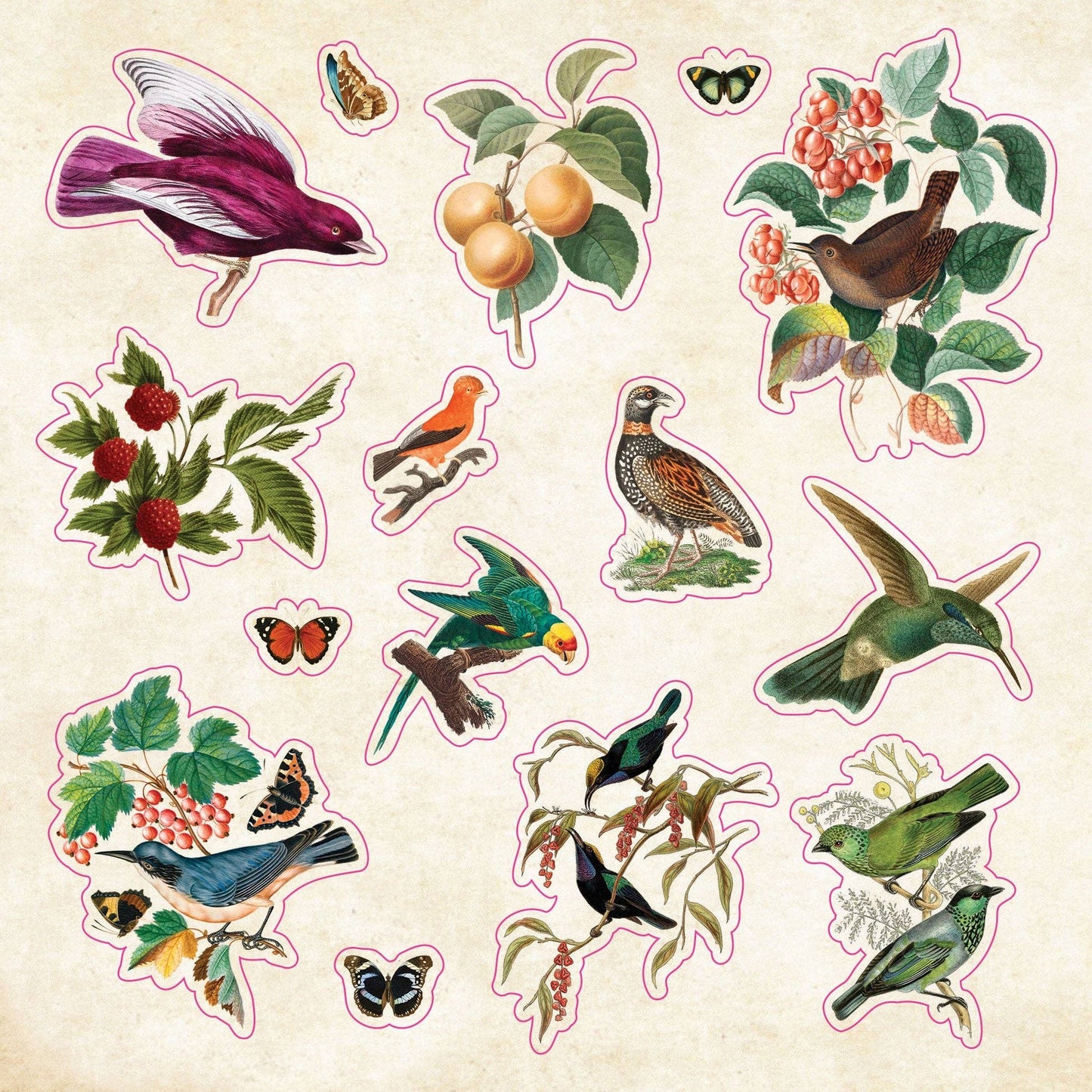 Peter Pauper Press | Curiosities Sticker Book