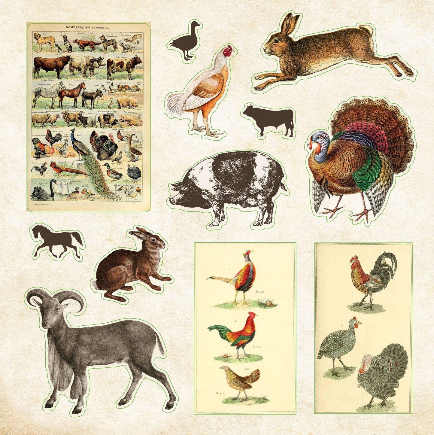 Peter Pauper Press | Zoological Ephemera Sticker Book