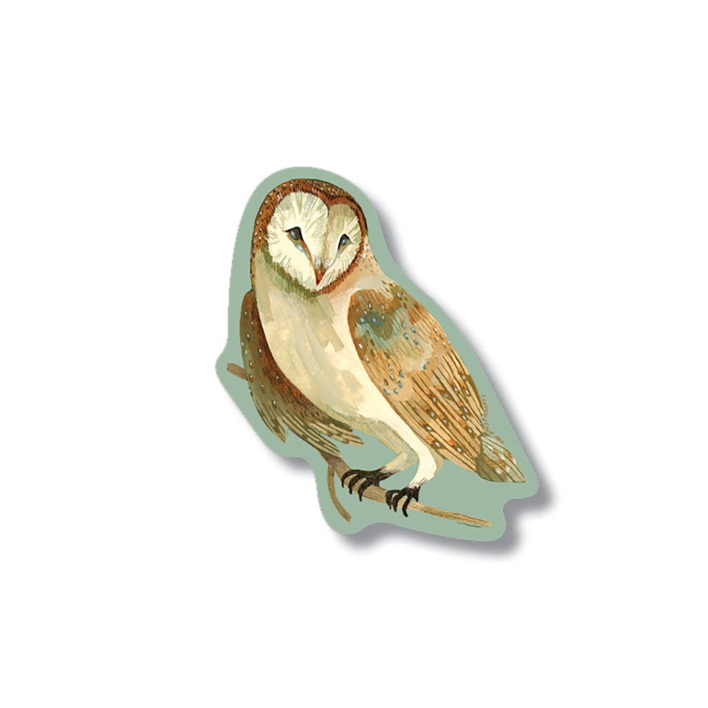 Canyon & Cove Art - Forest Barn Owl Sticker