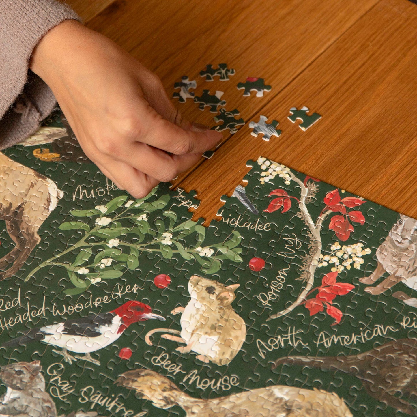 1canoe2 | One Canoe Two Paper Co. - Winter Flora & Fauna - 1,000 Piece Jigsaw Puzzle