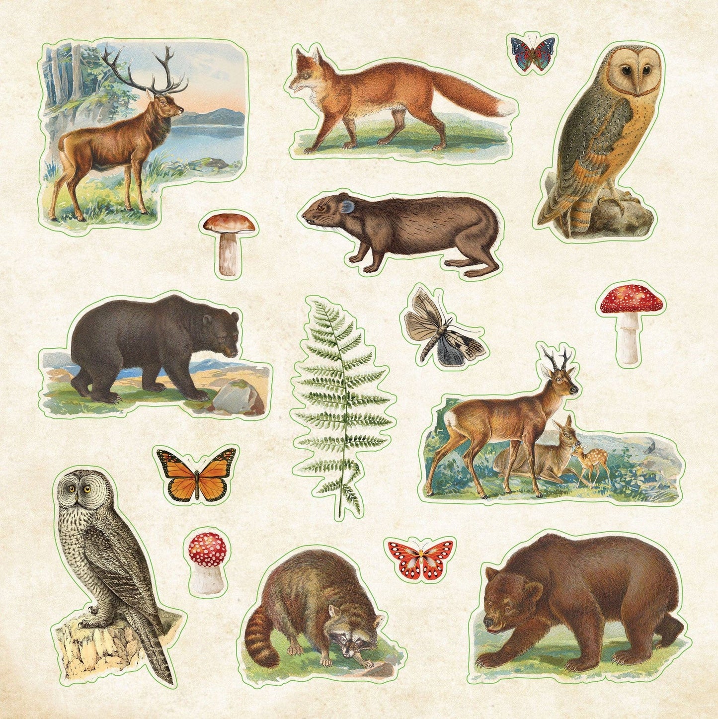 Peter Pauper Press | Zoological Ephemera Sticker Book