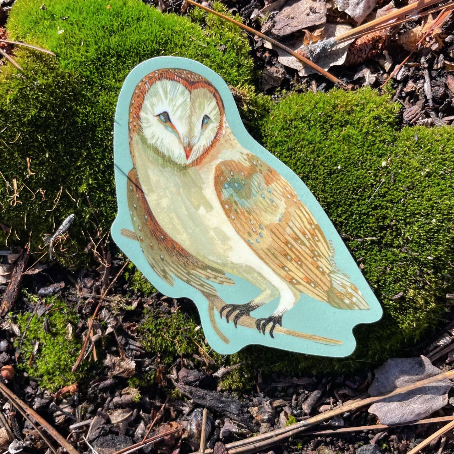 Canyon & Cove Art - Forest Barn Owl Sticker