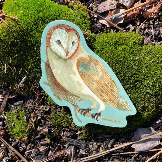 Canyon & Cove Art - Forest Barn Owl Sticker