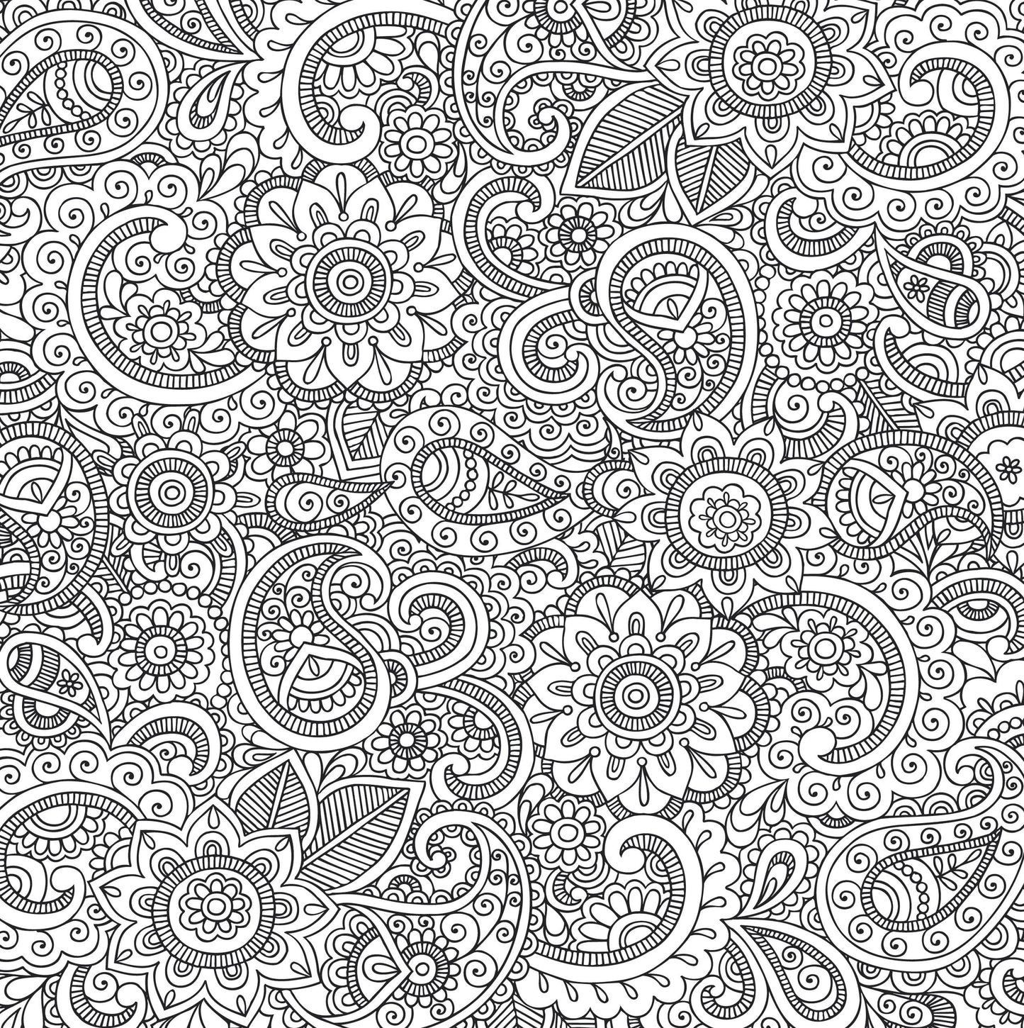 Peter Pauper Press |  Peaceful Paisleys Artist's Coloring Book