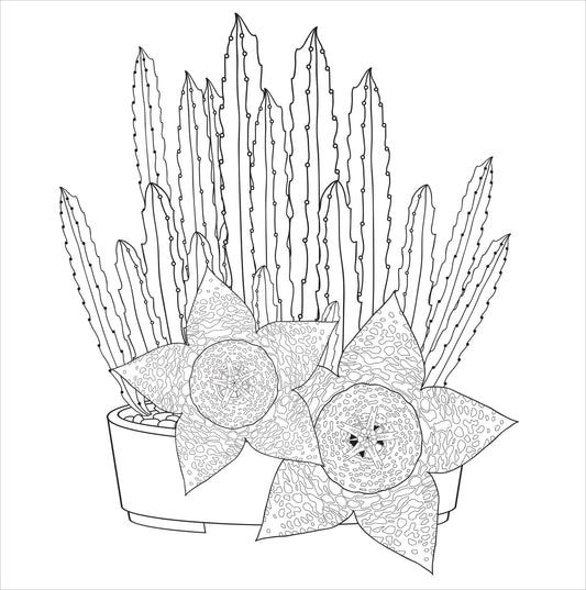 Peter Pauper Press | Succulents Adult Coloring Book
