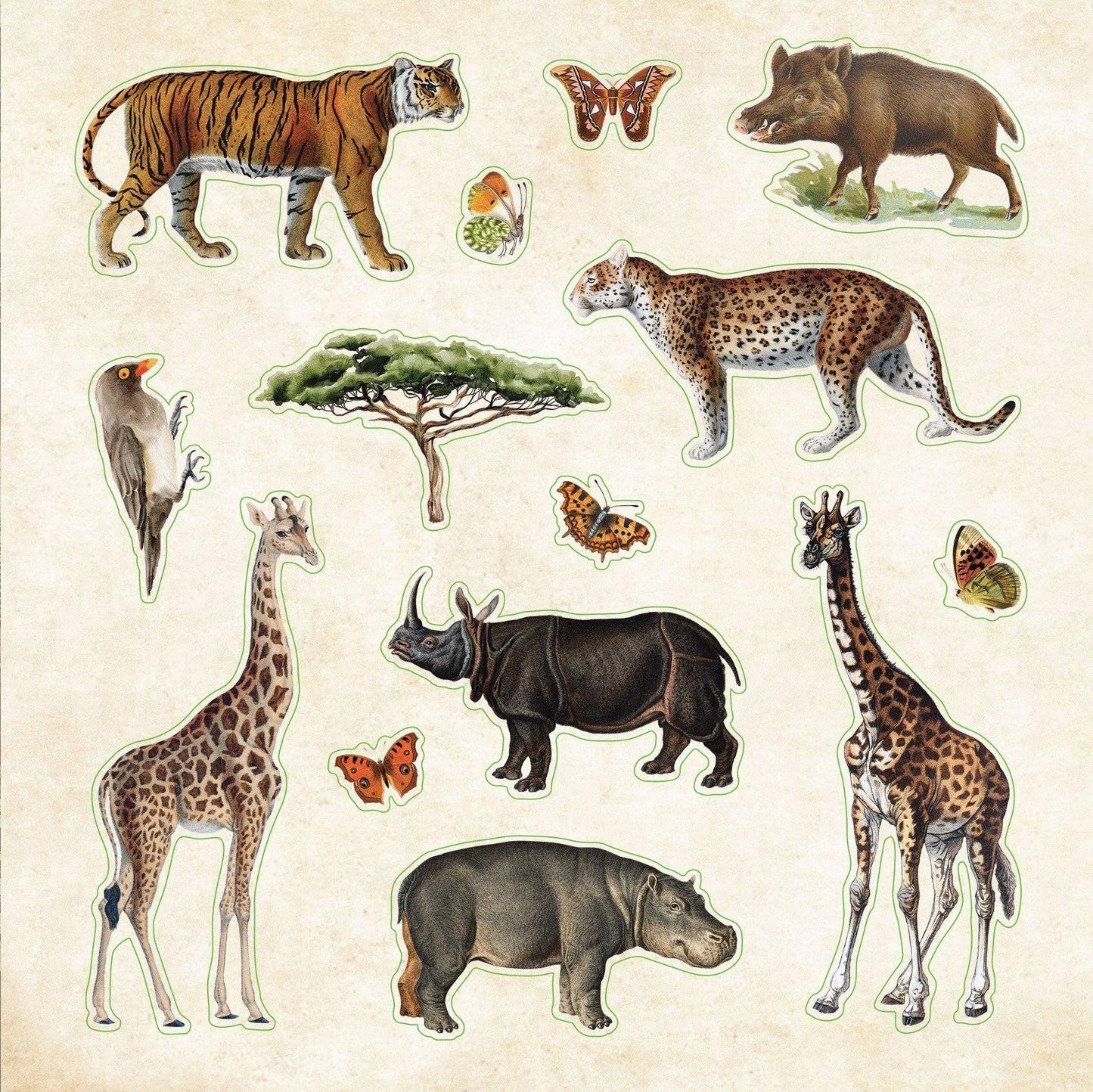 Peter Pauper Press | Zoological Ephemera Sticker Book