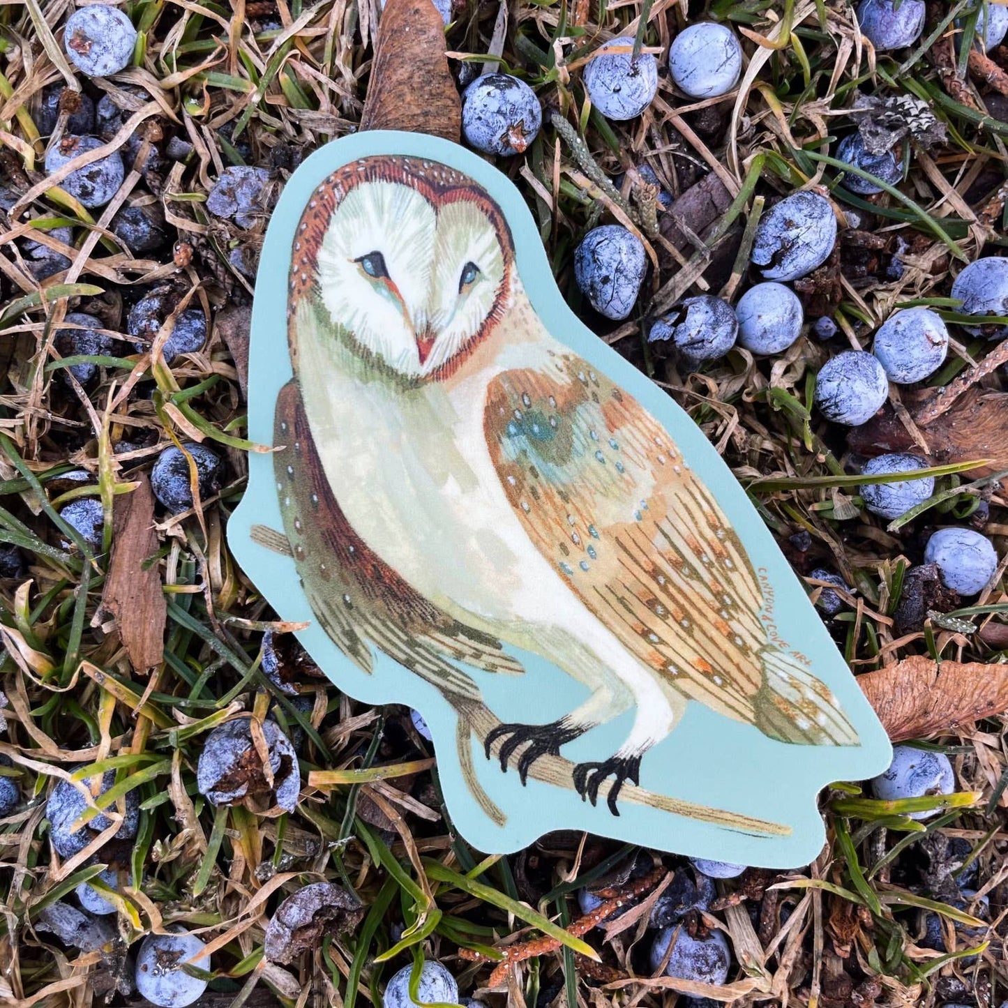 Canyon & Cove Art - Forest Barn Owl Sticker