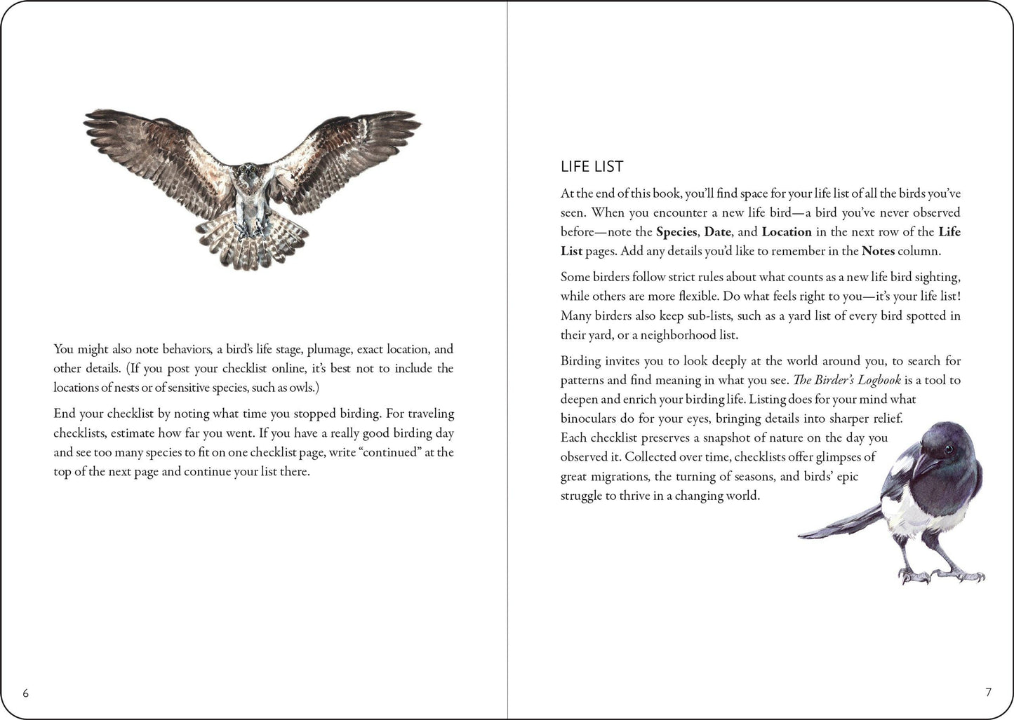 Peter Pauper Press | The Birder's Logbook