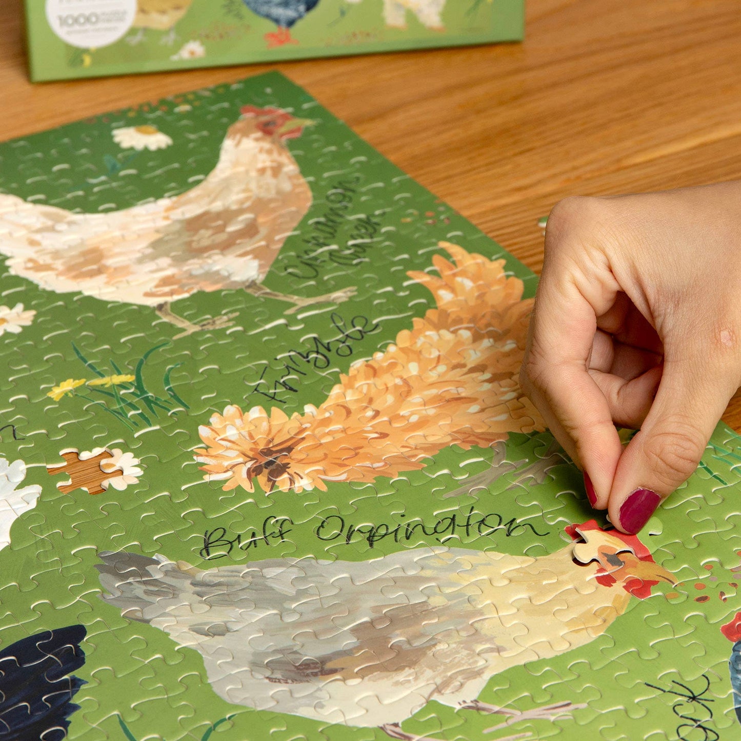 1Canoe2 | Chicken Meadows 1,000 Piece Jigsaw Puzzle