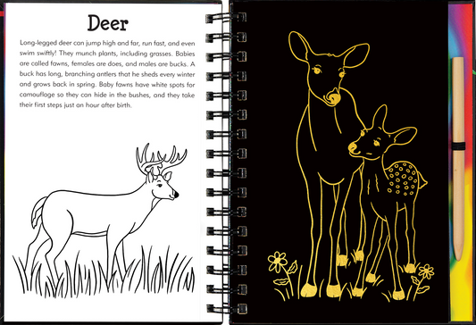 Peter Pauper Press - Forest Friends Scratch & Sketch™