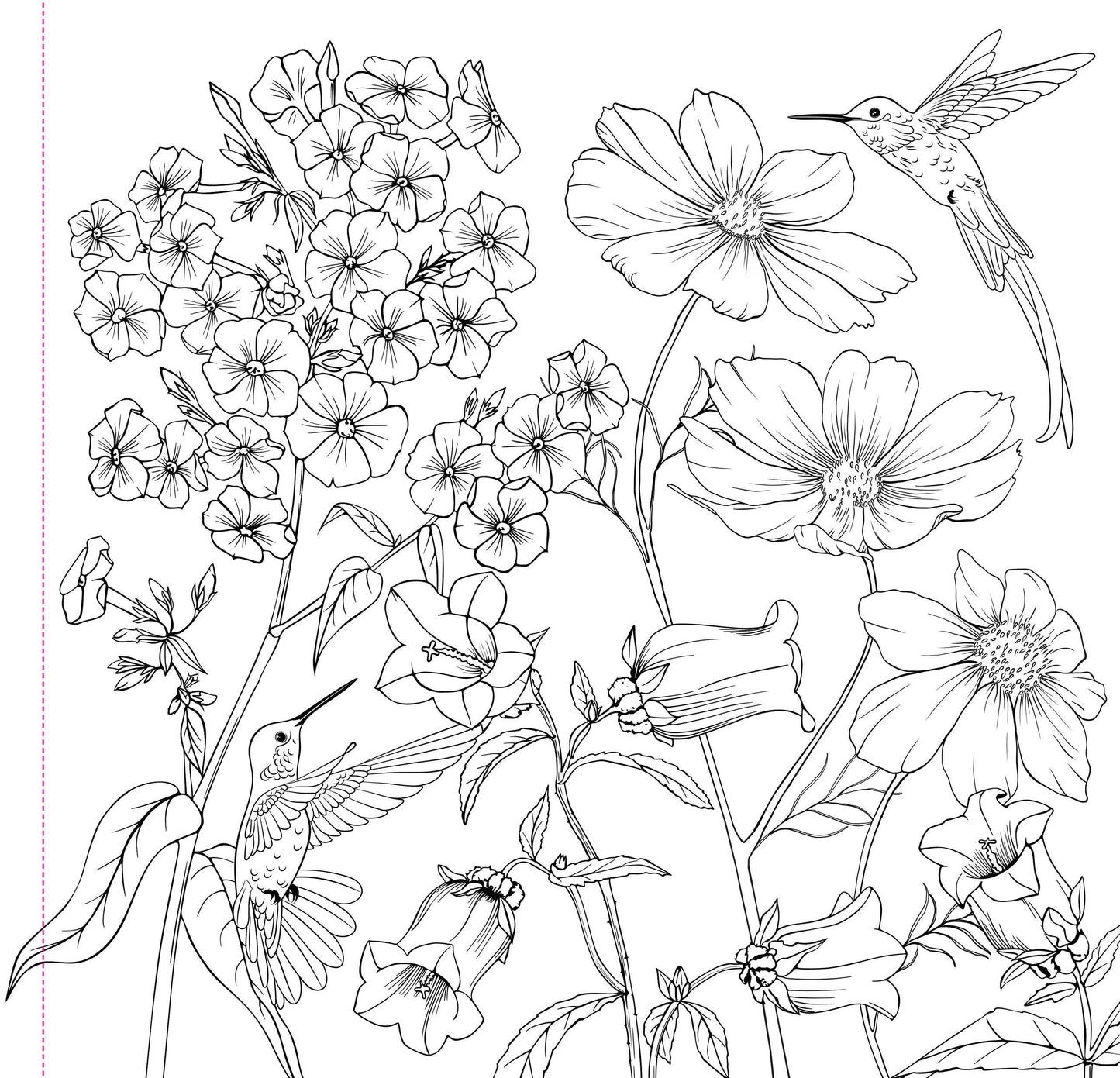 Peter Pauper Press - Wildflowers Adult Coloring Book