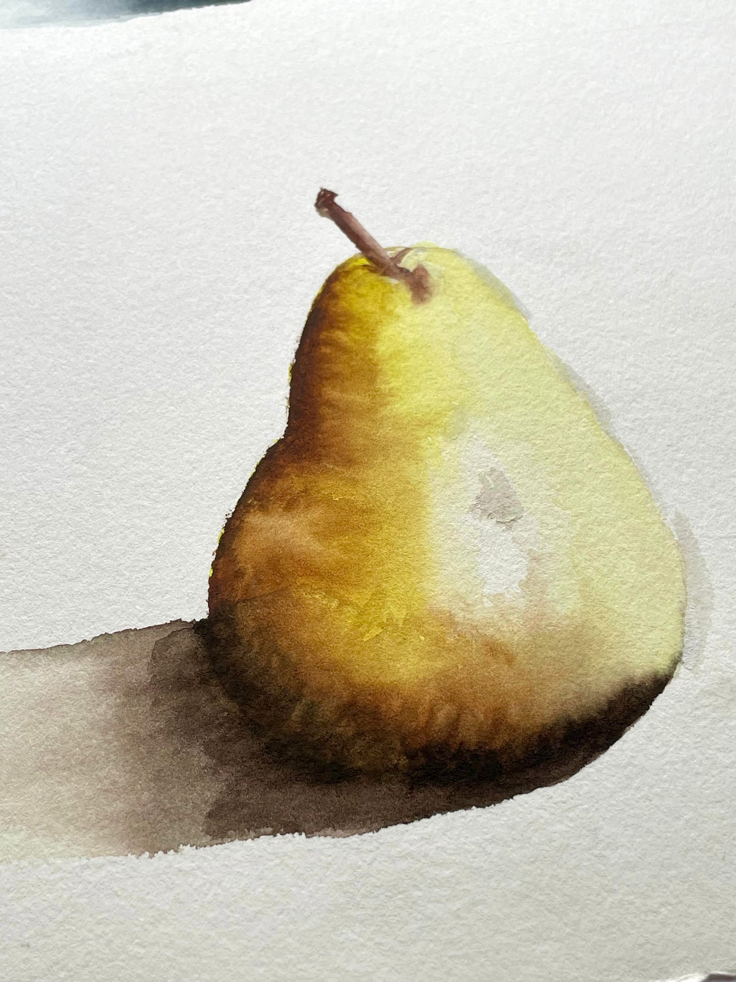 Watercolor Fruit Studies Workshop - Saturday June 13, 1 - 3:30 pm