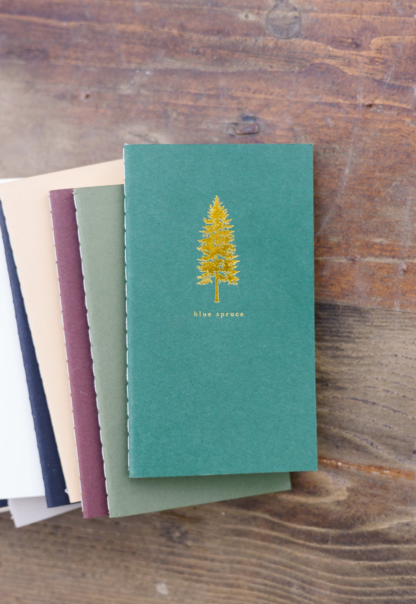 Blue Spruce Mini Saddle Stitch Notebook | Pine Tree Notebook