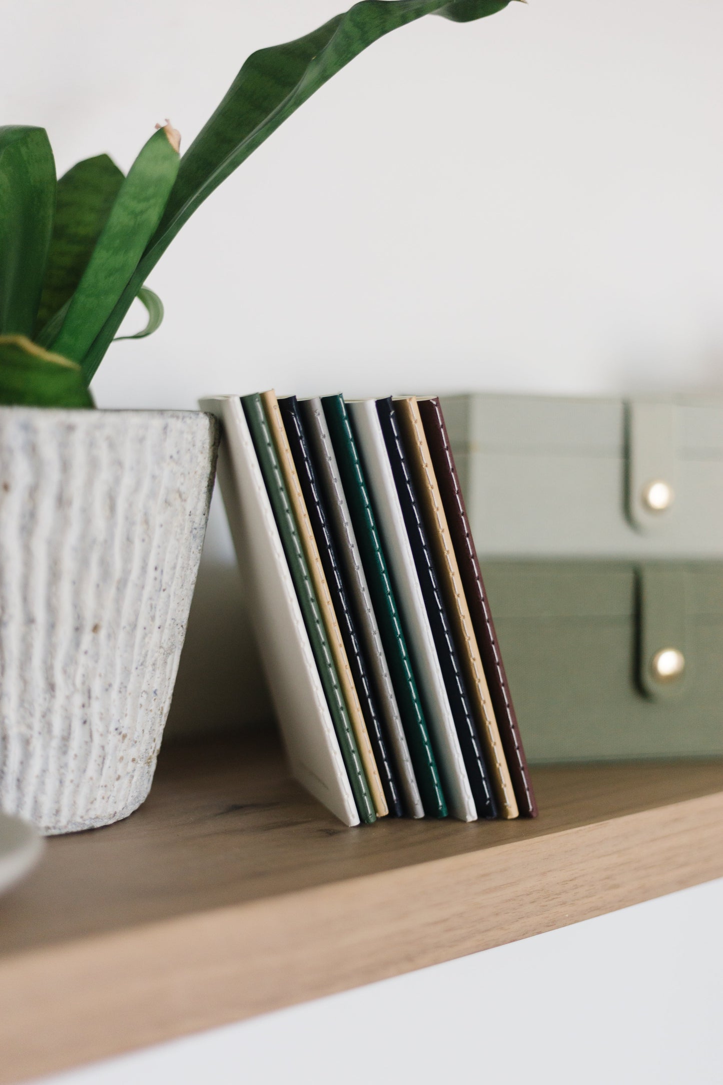 Mushroom Trio Mini Saddle Stitch Notebook