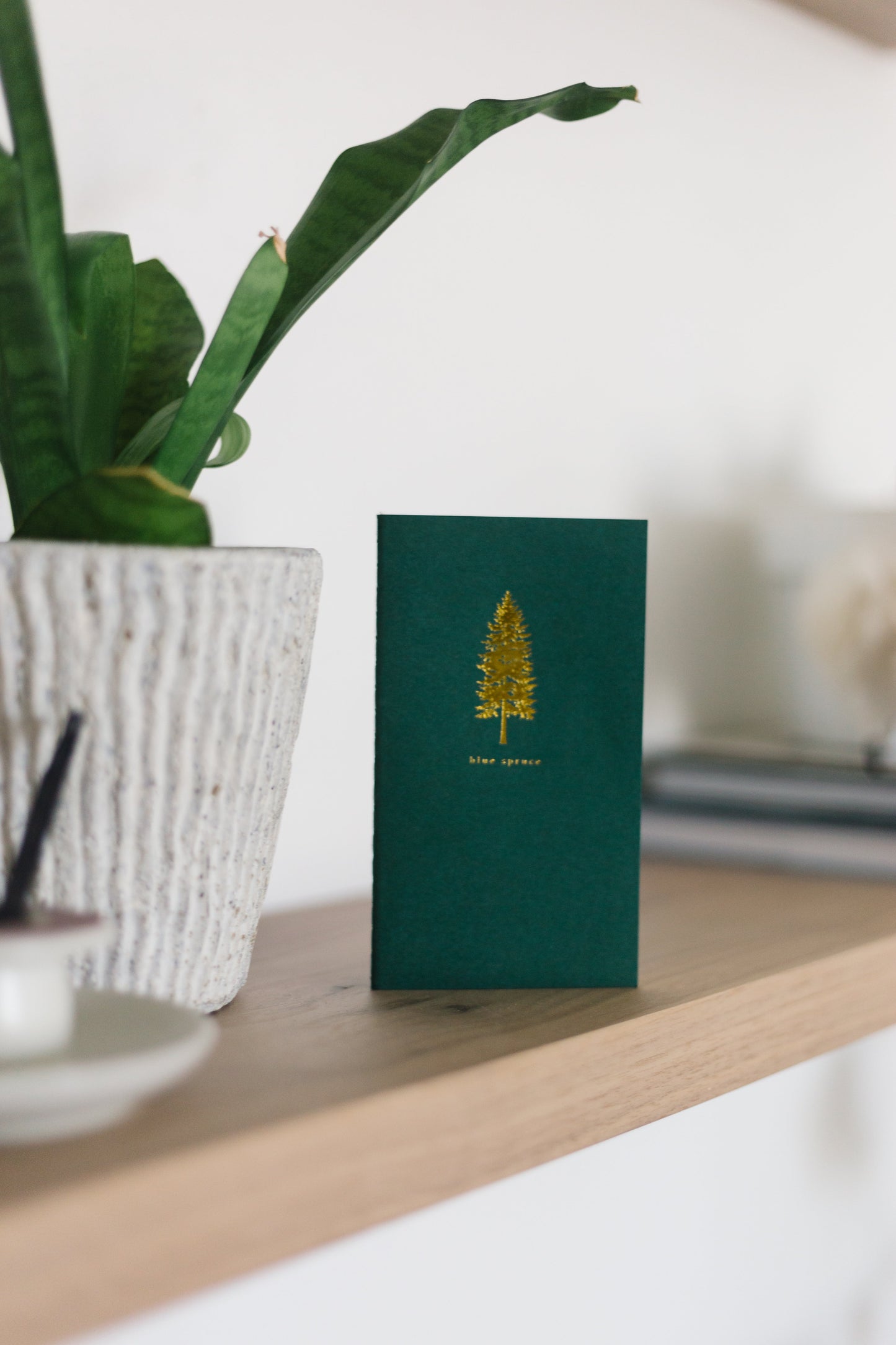 Blue Spruce Mini Saddle Stitch Notebook | Pine Tree Notebook