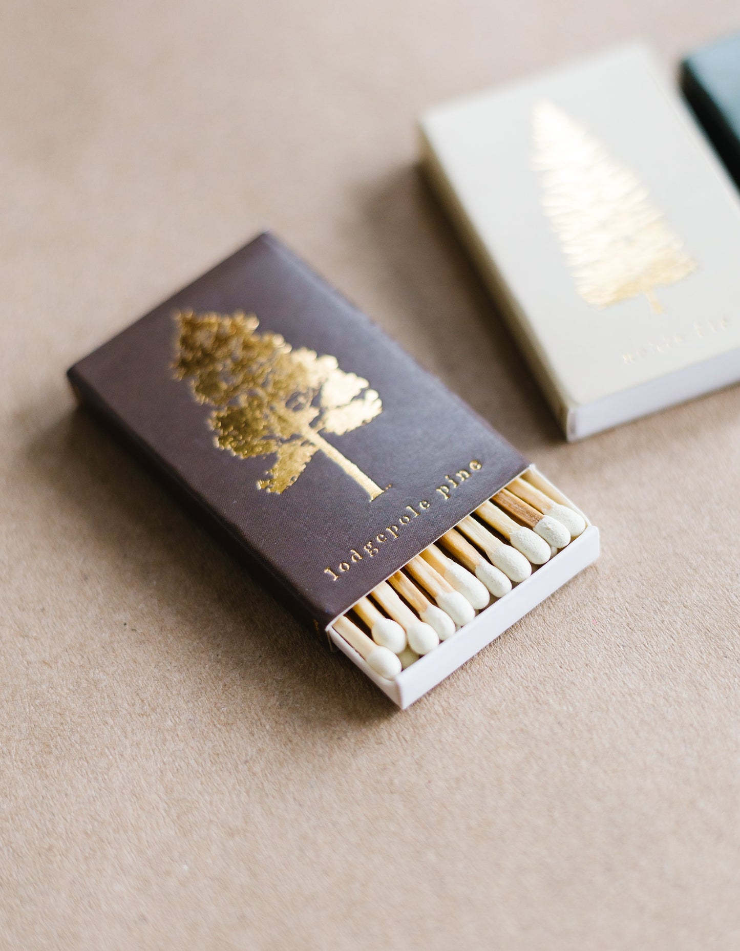 Lodgepole Pine Tree Gold Foil Matchbox
